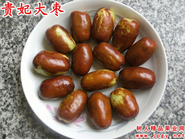 貴妃脆棗