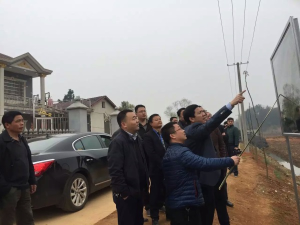 長沙市順世農林科技有限公司,湖(hú)南(nán)柑橘品種銷售,落葉果樹(shù)類銷售,常綠(lǜ)果樹(shù)類哪裡(lǐ)好(hǎo) 長沙市順世農林科技有限公司,湖(hú)南(nán)柑橘品種銷售,落葉果樹(shù)類銷售,常綠(lǜ)果樹(shù)類哪裡(lǐ)好(hǎo)
