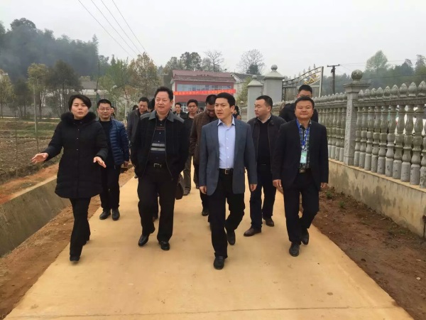 長沙市順世農林科技有限公司,湖(hú)南(nán)柑橘品種銷售,落葉果樹(shù)類銷售,常綠(lǜ)果樹(shù)類哪裡(lǐ)好(hǎo) 長沙市順世農林科技有限公司,湖(hú)南(nán)柑橘品種銷售,落葉果樹(shù)類銷售,常綠(lǜ)果樹(shù)類哪裡(lǐ)好(hǎo)
