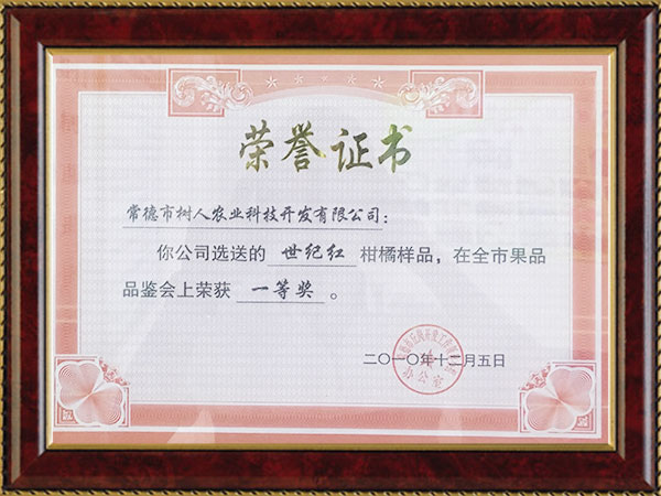 世紀紅(hóng)2010榮譽證書(shū)