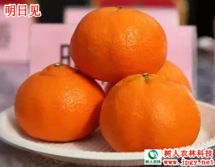 明(míng)日(rì)見(jiàn)