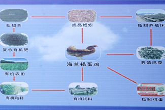 政策咨詢