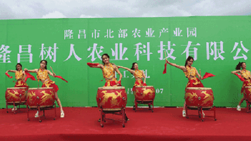 長沙市順世農林科技有限公司,湖(hú)南(nán)柑橘品種銷售,中國(guó)果樹(shù)網,常綠(lǜ)果樹(shù)類哪裡(lǐ)好(hǎo)