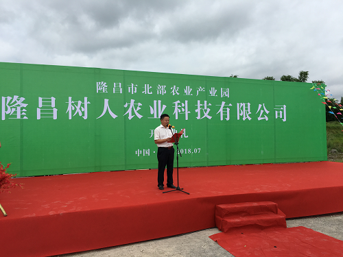 長沙市順世農林科技有限公司,湖(hú)南(nán)柑橘品種銷售,中國(guó)果樹(shù)網,常綠(lǜ)果樹(shù)類哪裡(lǐ)好(hǎo)