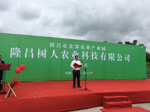 長沙市順世農林科技有限公司,湖(hú)南(nán)柑橘品種銷售,中國(guó)果樹(shù)網,常綠(lǜ)果樹(shù)類哪裡(lǐ)好(hǎo)