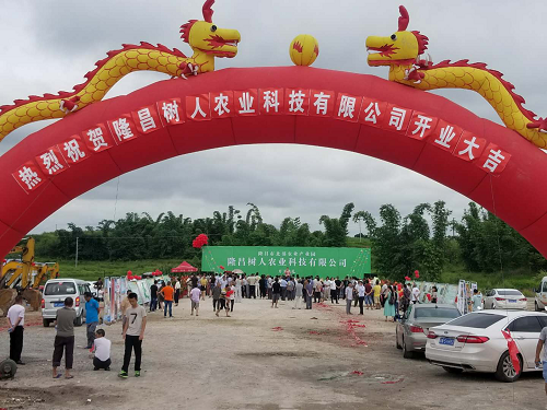 長沙市順世農林科技有限公司,湖(hú)南(nán)柑橘品種銷售,中國(guó)果樹(shù)網,常綠(lǜ)果樹(shù)類哪裡(lǐ)好(hǎo)