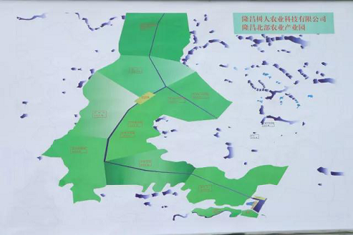 長沙市順世農林科技有限公司,湖(hú)南(nán)柑橘品種銷售,中國(guó)果樹(shù)網,常綠(lǜ)果樹(shù)類哪裡(lǐ)好(hǎo)