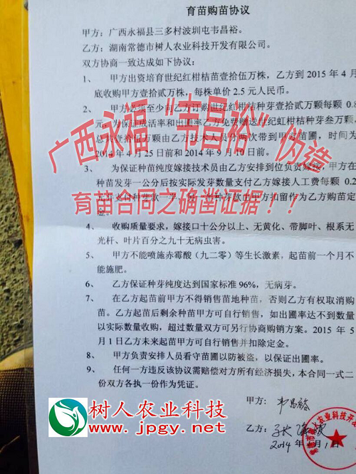 長沙市順世農林科技有限公司,湖(hú)南(nán)柑橘品種銷售,中國(guó)果樹(shù)網,常綠(lǜ)果樹(shù)類哪裡(lǐ)好(hǎo)