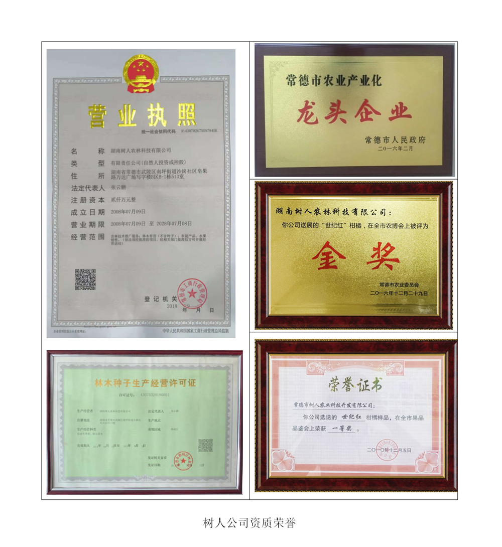 長沙市順世農林科技有限公司,湖(hú)南(nán)柑橘品種銷售,中國(guó)果樹(shù)網,常綠(lǜ)果樹(shù)類哪裡(lǐ)好(hǎo)