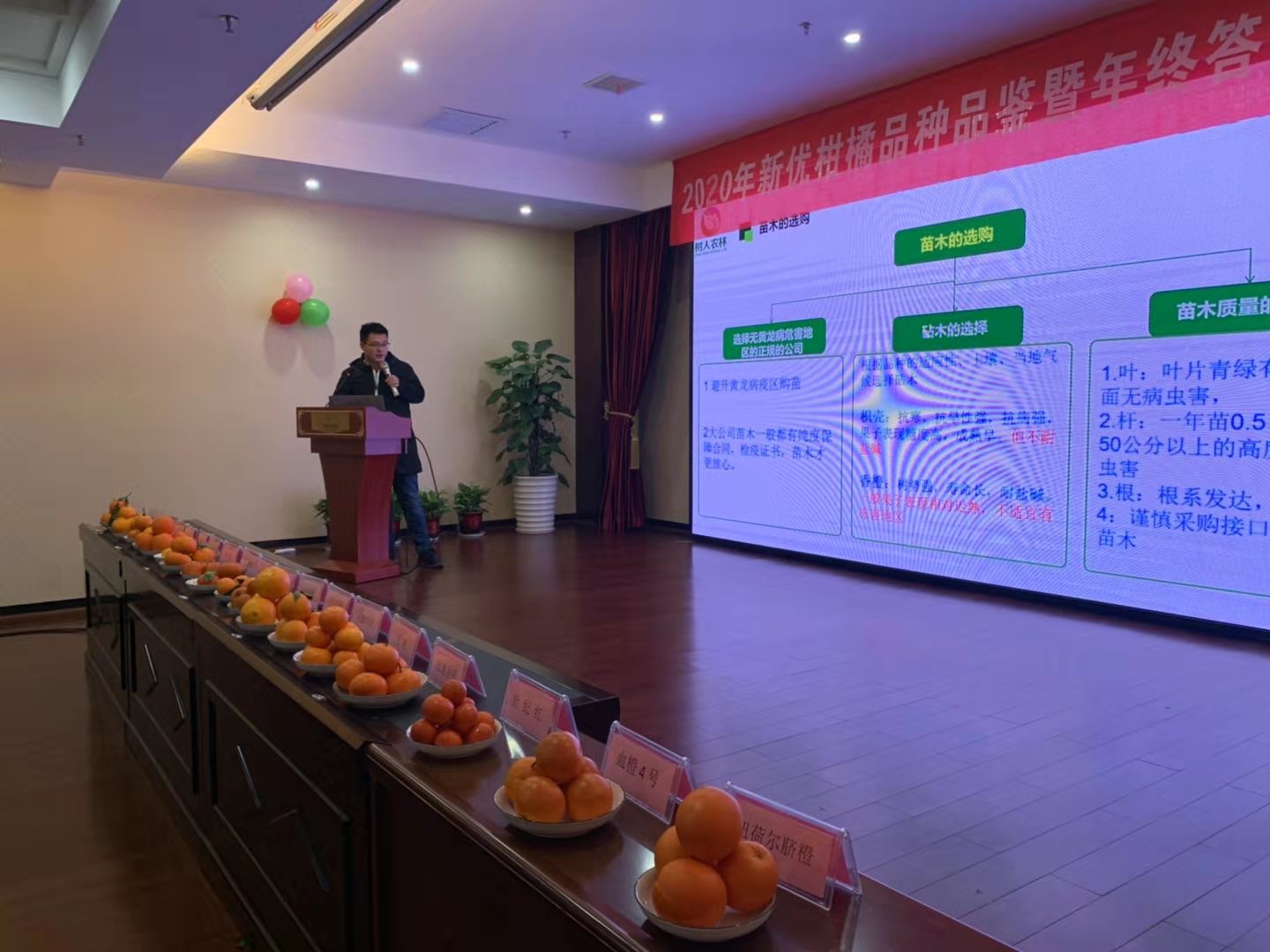 長沙市順世農林科技有限公司,湖(hú)南(nán)柑橘品種銷售,中國(guó)果樹(shù)網,常綠(lǜ)果樹(shù)類哪裡(lǐ)好(hǎo)