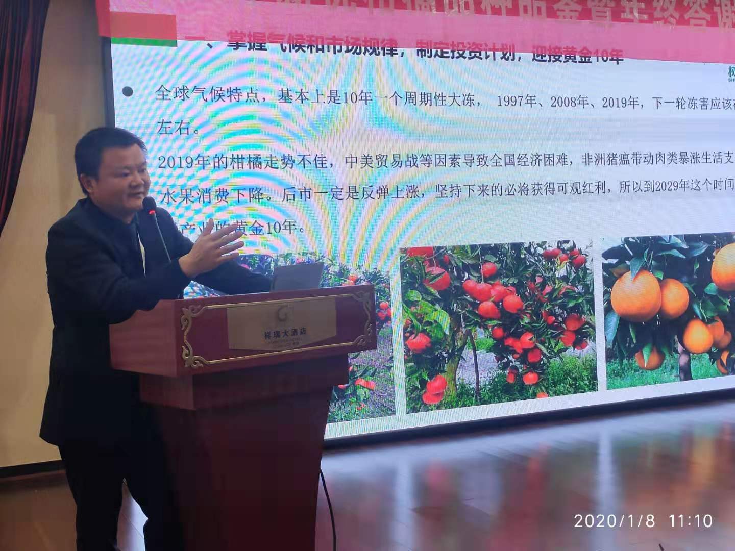 長沙市順世農林科技有限公司,湖(hú)南(nán)柑橘品種銷售,中國(guó)果樹(shù)網,常綠(lǜ)果樹(shù)類哪裡(lǐ)好(hǎo)