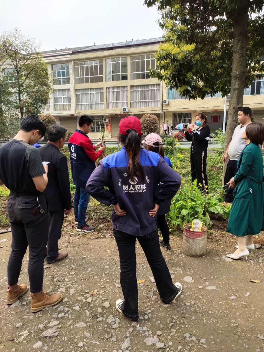 長沙市順世農林科技有限公司,湖(hú)南(nán)柑橘品種銷售,中國(guó)果樹(shù)網,常綠(lǜ)果樹(shù)類哪裡(lǐ)好(hǎo)