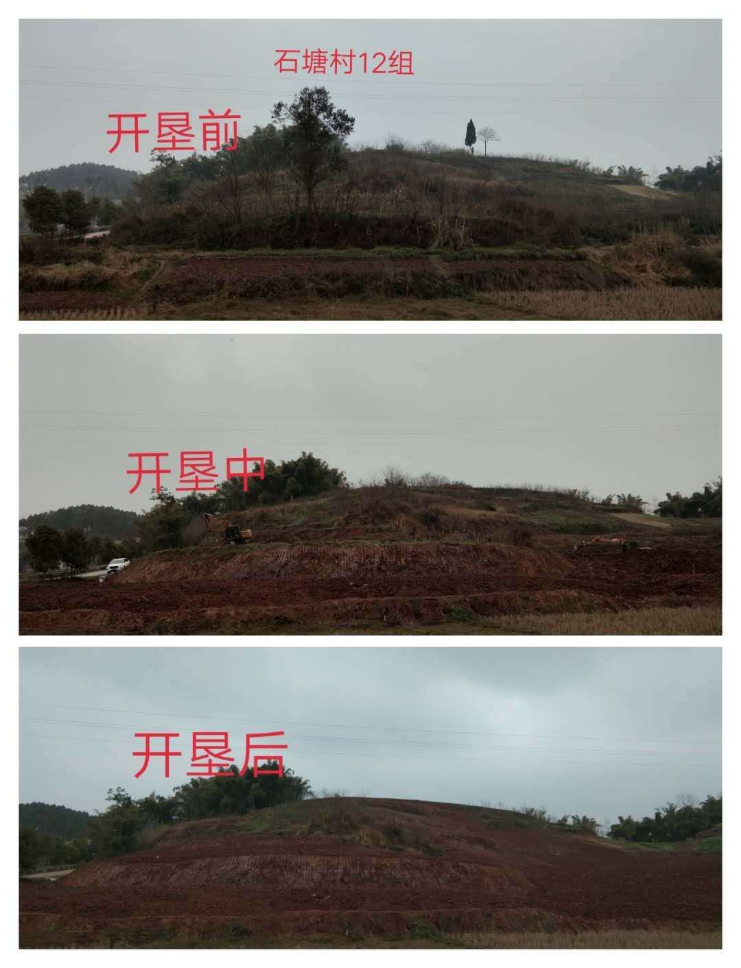 長沙市順世農林科技有限公司,湖(hú)南(nán)柑橘品種銷售,中國(guó)果樹(shù)網,常綠(lǜ)果樹(shù)類哪裡(lǐ)好(hǎo)