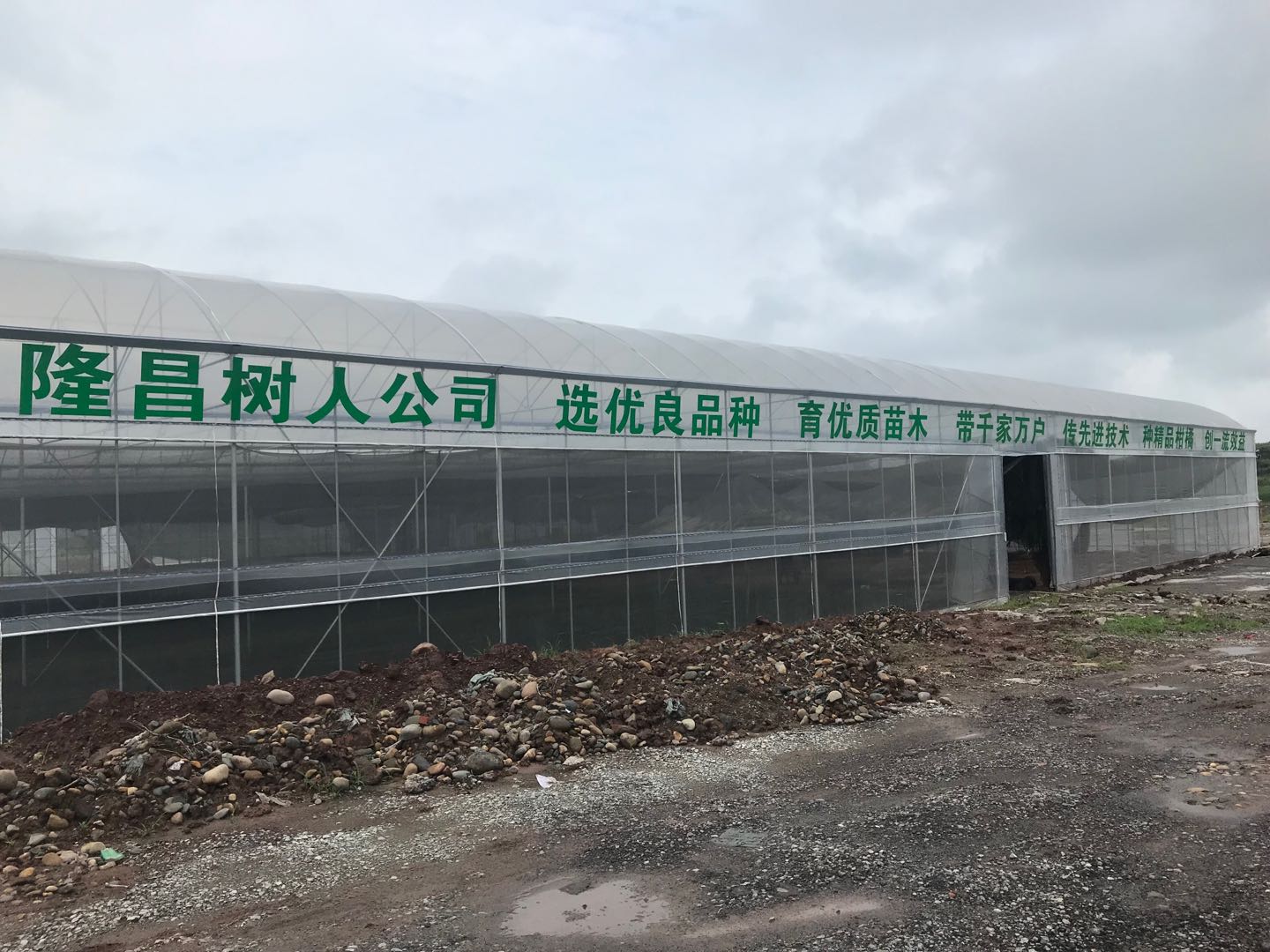 長沙市順世農林科技有限公司,湖(hú)南(nán)柑橘品種銷售,中國(guó)果樹(shù)網,常綠(lǜ)果樹(shù)類哪裡(lǐ)好(hǎo) 長沙市順世農林科技有限公司,湖(hú)南(nán)柑橘品種銷售,中國(guó)果樹(shù)網,常綠(lǜ)果樹(shù)類哪裡(lǐ)好(hǎo)