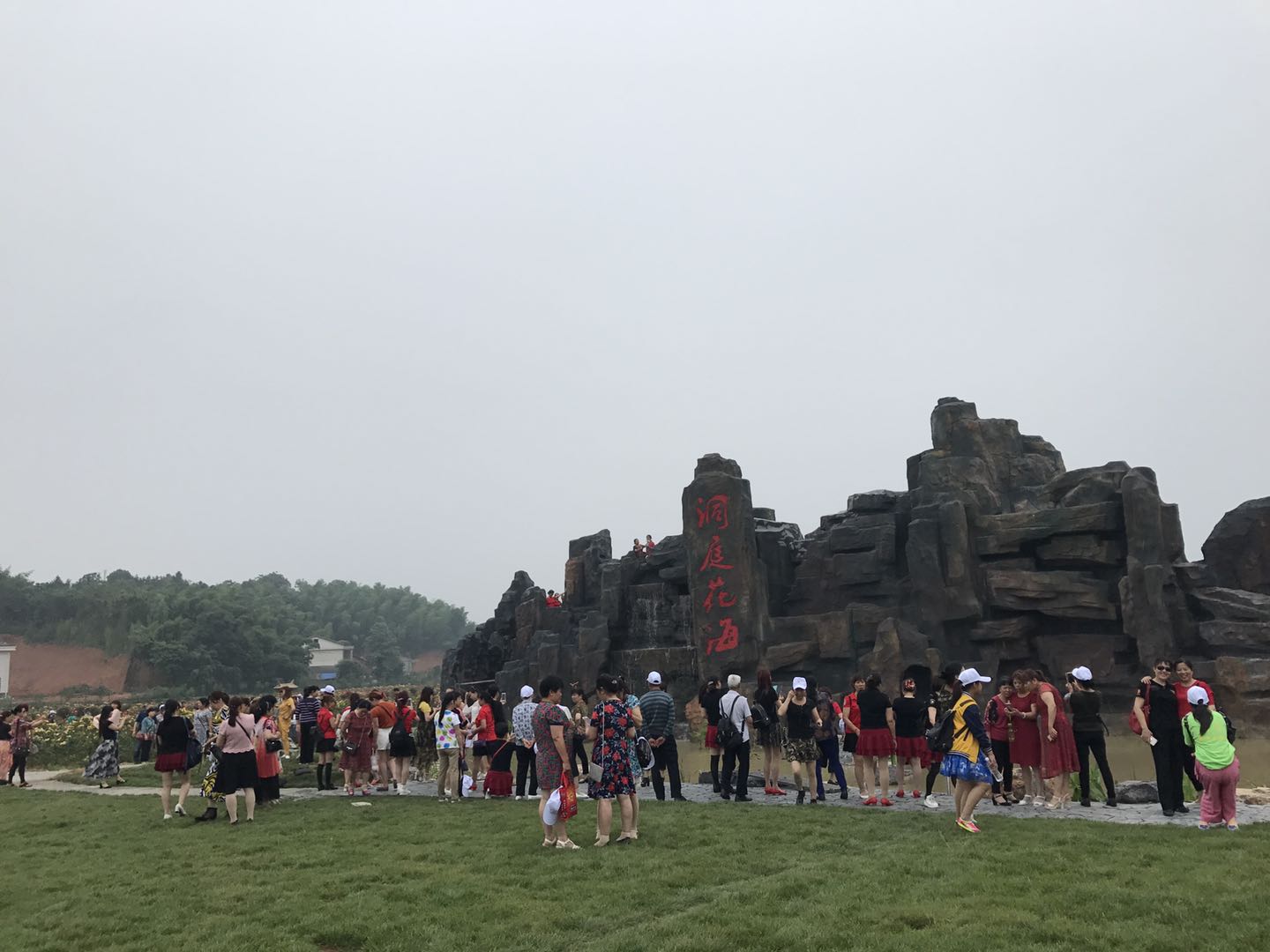 長沙市順世農林科技有限公司,湖(hú)南(nán)柑橘品種銷售,中國(guó)果樹(shù)網,常綠(lǜ)果樹(shù)類哪裡(lǐ)好(hǎo)