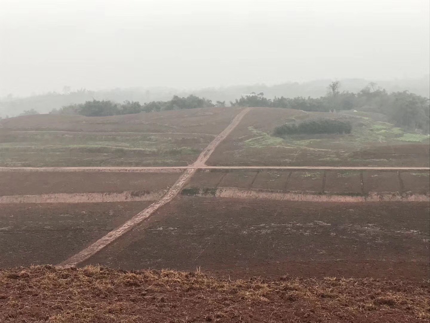 長沙市順世農林科技有限公司,湖(hú)南(nán)柑橘品種銷售,中國(guó)果樹(shù)網,常綠(lǜ)果樹(shù)類哪裡(lǐ)好(hǎo)