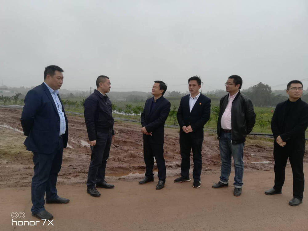 熱(rè)烈歡迎隆昌市(shì)委領導視(shì)察隆昌樹(shù)人(rén)農(nóng)業(yè)科(kē)技(jì)有(yǒu)限公司