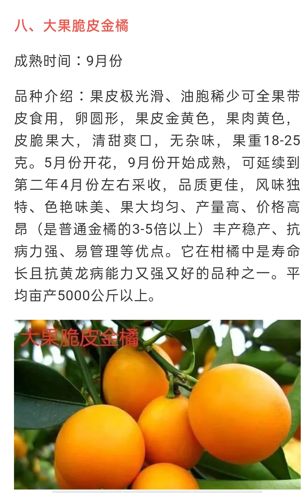 網站(zhàn)公告