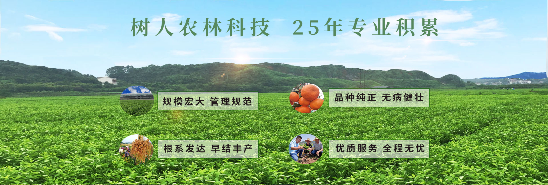 長沙市順世農林科技有限公司_樹(shù)人(rén)農(nóng)林(lín)丨樹(shù)人(rén)農(nóng)業(yè)丨農(nóng)業(yè)科(kē)技(jì)丨現(xiàn)代農(nóng)業(yè)丨柑橘丨柑橘苗木(mù)丨果樹(shù)苗木(mù)丨綠(lǜ)化(huà)苗木(mù)丨種子(zǐ)種苗丨田園綜合體(tǐ)丨鄉(xiāng)村(cūn)旅遊丨觀光(guāng)休閑等