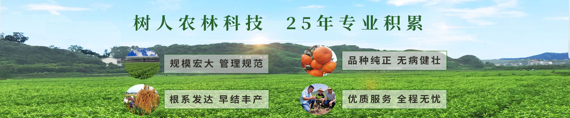 長沙市順世農林科技有限公司_樹(shù)人(rén)農(nóng)林(lín)丨樹(shù)人(rén)農(nóng)業(yè)丨農(nóng)業(yè)科(kē)技(jì)丨現(xiàn)代農(nóng)業(yè)丨柑橘丨柑橘苗木(mù)丨果樹(shù)苗木(mù)丨綠(lǜ)化(huà)苗木(mù)丨種子(zǐ)種苗丨田園綜合體(tǐ)丨鄉(xiāng)村(cūn)旅遊丨觀光(guāng)休閑等